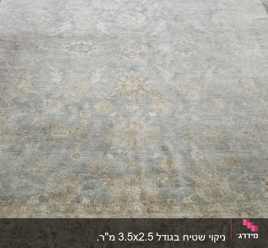 שטיח עם דוגמאות פרחוניות עדינות